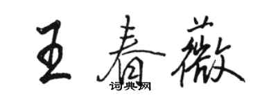 骆恒光王春薇行书个性签名怎么写