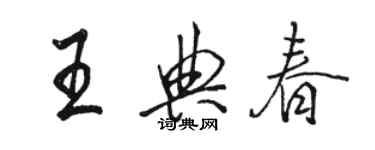 骆恒光王典春行书个性签名怎么写