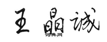 骆恒光王晶诚行书个性签名怎么写
