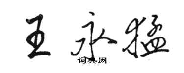 骆恒光王永猛行书个性签名怎么写