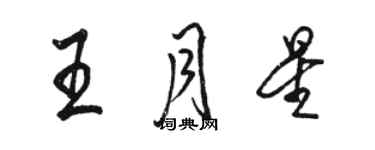 骆恒光王月星行书个性签名怎么写