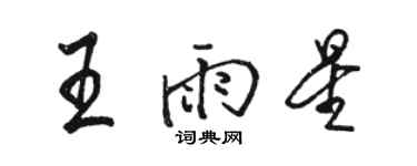 骆恒光王雨星行书个性签名怎么写