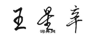 骆恒光王星辛行书个性签名怎么写