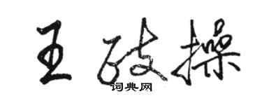 骆恒光王政操行书个性签名怎么写
