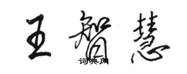 骆恒光王智慧行书个性签名怎么写