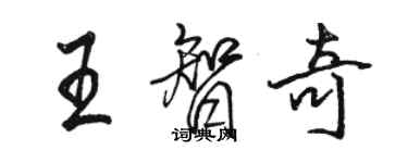 骆恒光王智奇行书个性签名怎么写