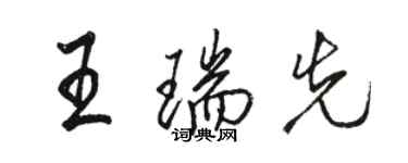 骆恒光王瑞先行书个性签名怎么写