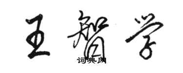 骆恒光王智学行书个性签名怎么写