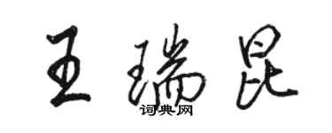 骆恒光王瑞昆行书个性签名怎么写