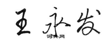 骆恒光王永发行书个性签名怎么写