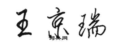骆恒光王京瑞行书个性签名怎么写