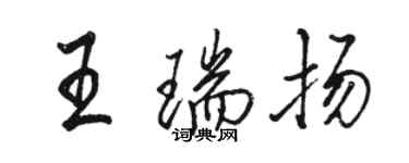 骆恒光王瑞扬行书个性签名怎么写