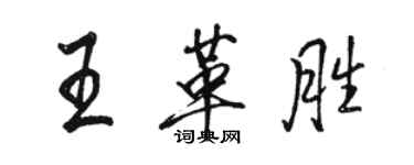 骆恒光王革胜行书个性签名怎么写