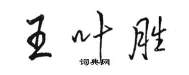 骆恒光王叶胜行书个性签名怎么写