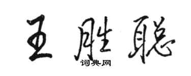 骆恒光王胜聪行书个性签名怎么写