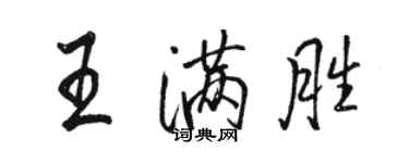 骆恒光王满胜行书个性签名怎么写