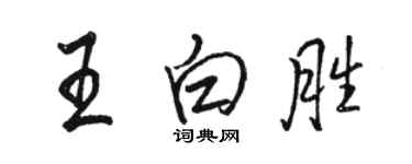 骆恒光王白胜行书个性签名怎么写