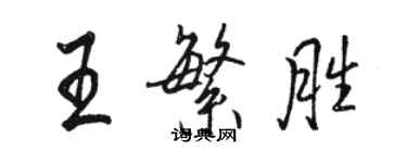 骆恒光王繁胜行书个性签名怎么写