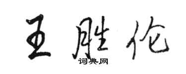 骆恒光王胜伦行书个性签名怎么写