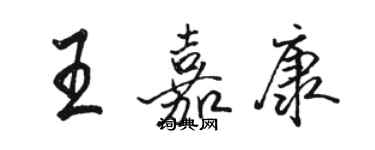 骆恒光王嘉康行书个性签名怎么写