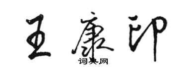 骆恒光王康印行书个性签名怎么写