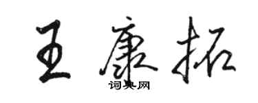 骆恒光王康拓行书个性签名怎么写