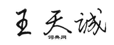 骆恒光王天诚行书个性签名怎么写