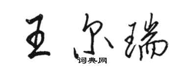 骆恒光王尔瑞行书个性签名怎么写