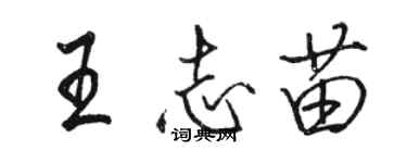 骆恒光王志苗行书个性签名怎么写