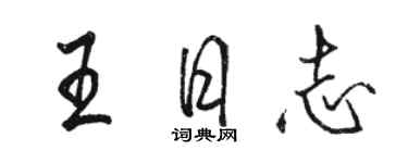骆恒光王日志行书个性签名怎么写