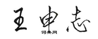 骆恒光王申志行书个性签名怎么写