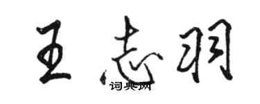 骆恒光王志羽行书个性签名怎么写