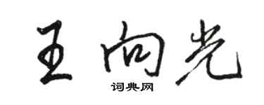 骆恒光王向光行书个性签名怎么写