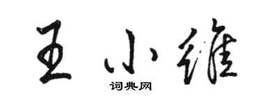 骆恒光王小维行书个性签名怎么写