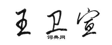 骆恒光王卫宣行书个性签名怎么写