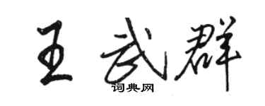 骆恒光王武群行书个性签名怎么写