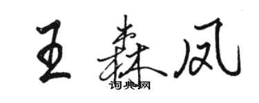 骆恒光王森凤行书个性签名怎么写