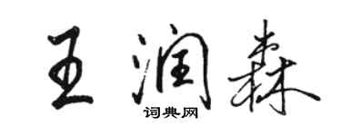 骆恒光王润森行书个性签名怎么写