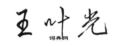 骆恒光王叶光行书个性签名怎么写