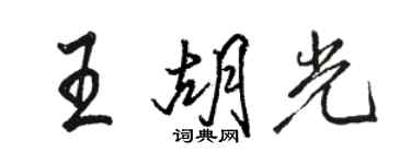骆恒光王胡光行书个性签名怎么写