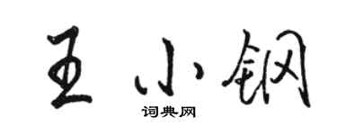 骆恒光王小钢行书个性签名怎么写