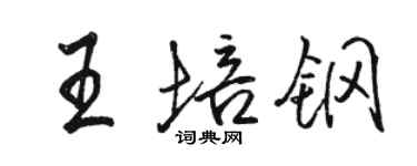 骆恒光王培钢行书个性签名怎么写