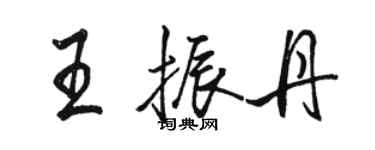 骆恒光王振丹行书个性签名怎么写
