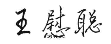 骆恒光王慰聪行书个性签名怎么写