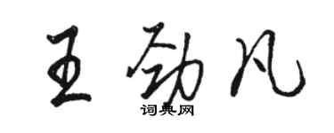 骆恒光王劲凡行书个性签名怎么写