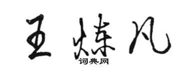 骆恒光王炼凡行书个性签名怎么写