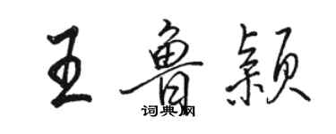 骆恒光王鲁颖行书个性签名怎么写