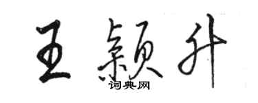 骆恒光王颖升行书个性签名怎么写