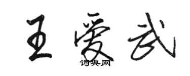 骆恒光王爱武行书个性签名怎么写