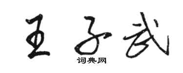 骆恒光王子武行书个性签名怎么写